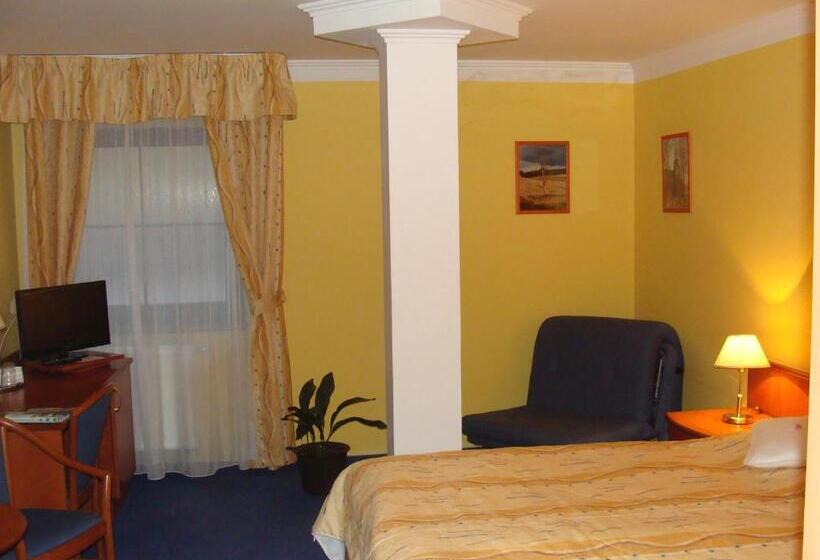 商务房间, Anna Spa & Wellness Hotel Nejdek