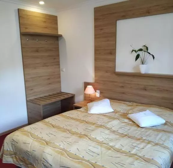身障者適用キングサイズベッドルーム, Anna Spa & Wellness Hotel Nejdek