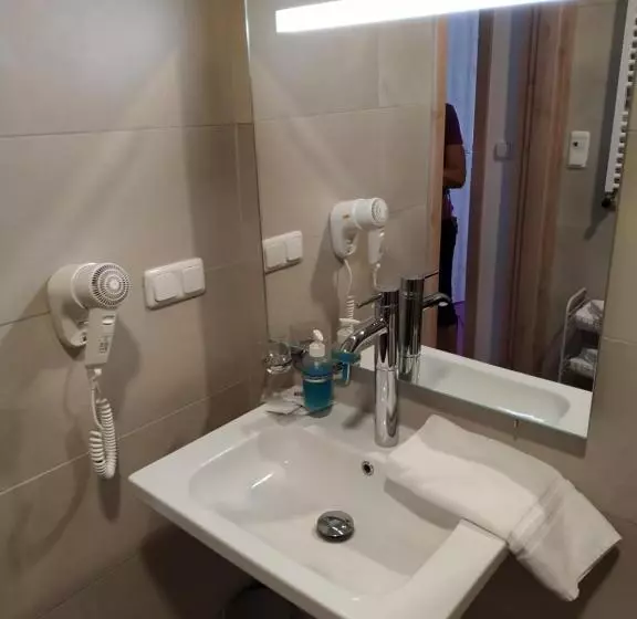 身障者適用キングサイズベッドルーム, Anna Spa & Wellness Hotel Nejdek