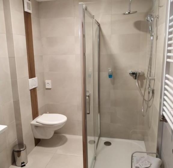 Номер Стандарт с Гидромассажем, Anna Spa & Wellness Hotel Nejdek
