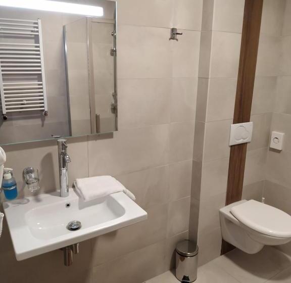 Номер Стандарт с Гидромассажем, Anna Spa & Wellness Hotel Nejdek