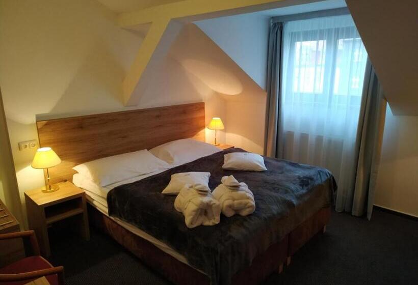 标准间, Anna Spa & Wellness Hotel Nejdek