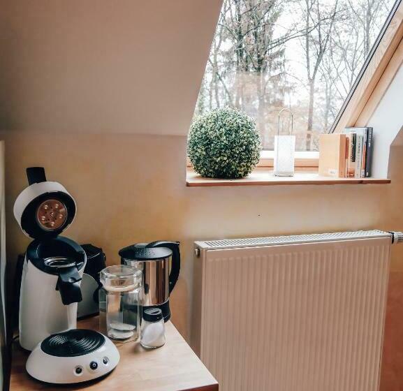 스탠다드 싱글 룸, Privatzimmer Bellevue