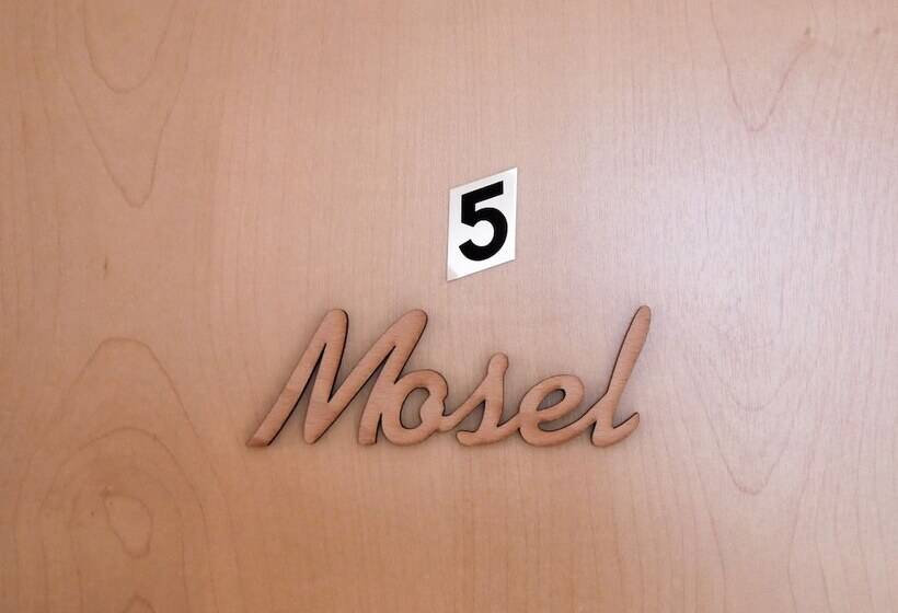 스탠다드 싱글 룸, Privatzimmer Bellevue