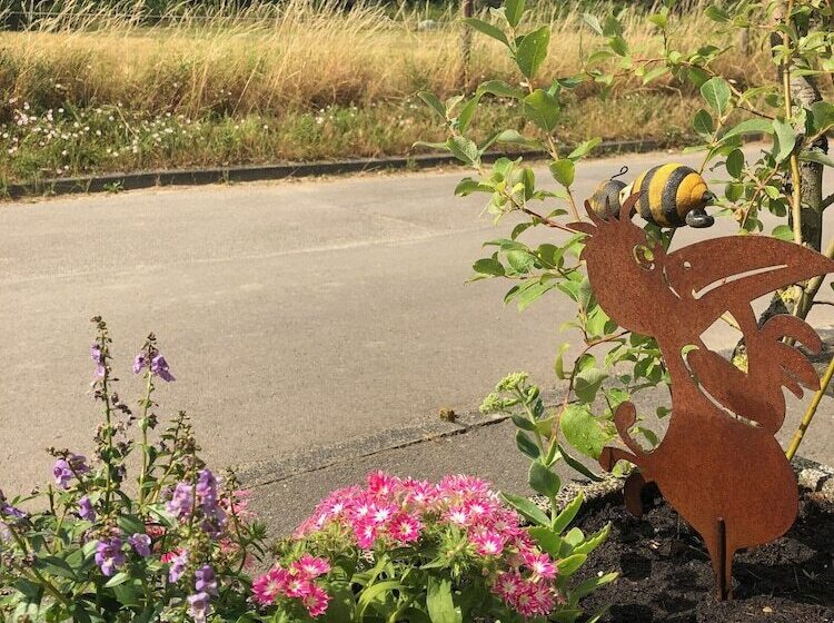 스탠다드 싱글 룸, Privatzimmer Bellevue