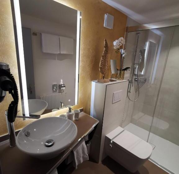 标准间带湖景, Brienzersee