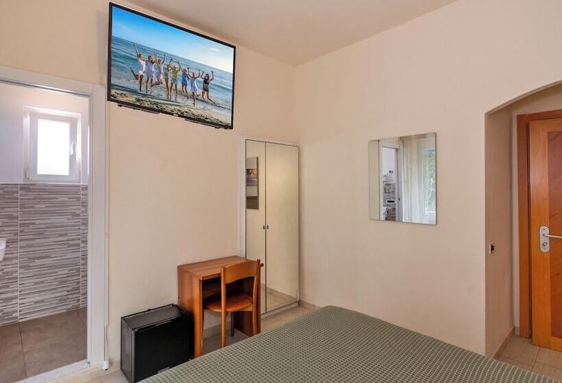 スタンダードルーム, Daisy