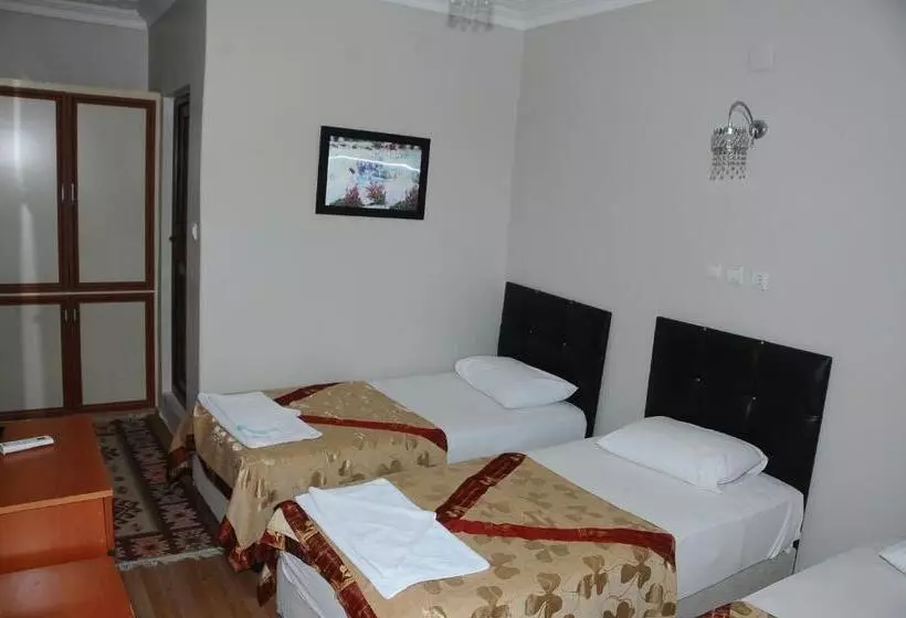 Standard Kolmen Hengen Huone, Dort Mevsim