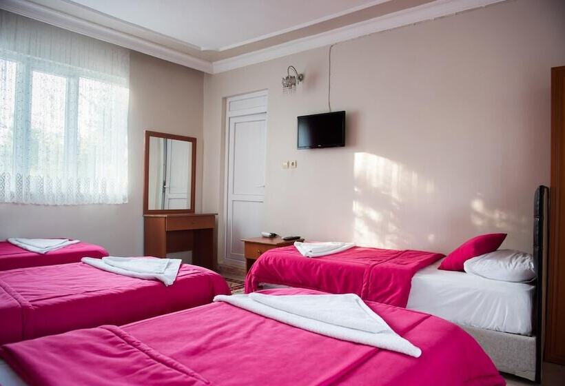 اتاق استاندارد یک نفره, Dort Mevsim