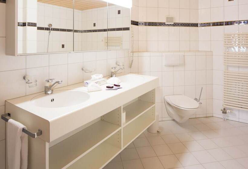 Апартаменты 1 Спальня, Grindelwalderhof