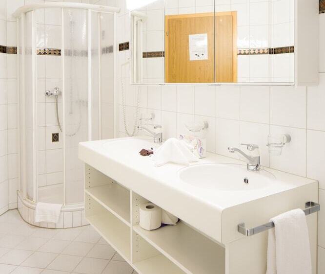 Апартаменты 1 Спальня, Grindelwalderhof