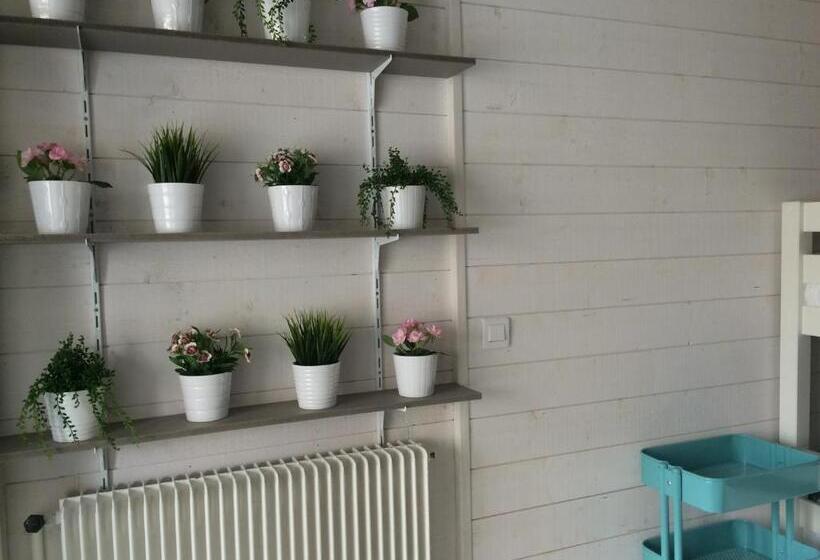 经典工作室, Hôtel Saint Clair, Côté Plage