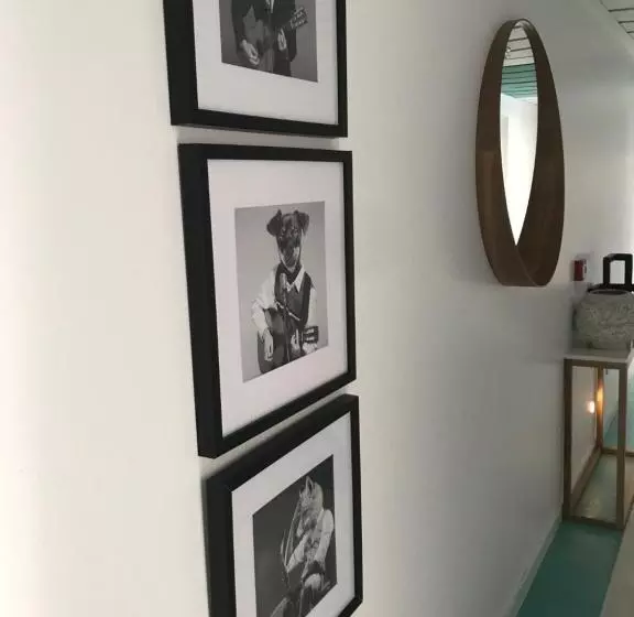 クラシックスタジオ, Hôtel Saint Clair, Côté Plage