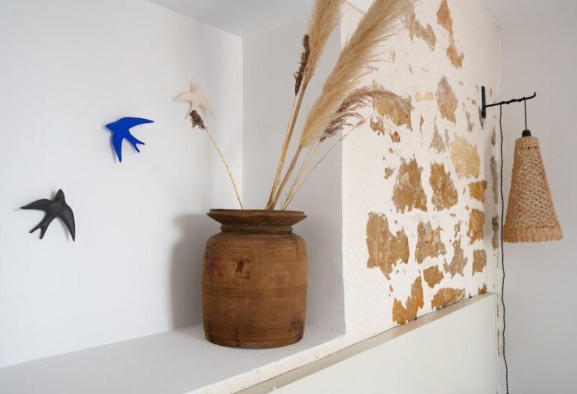 Camera Standard, Key Largo