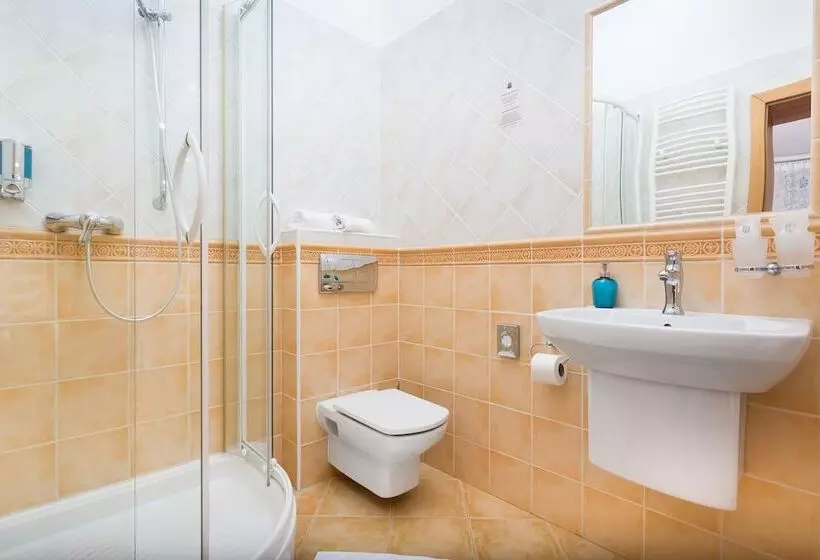 اتاق کلاس بیزنس, Penzión Hradbová Old Town Residence & Spa
