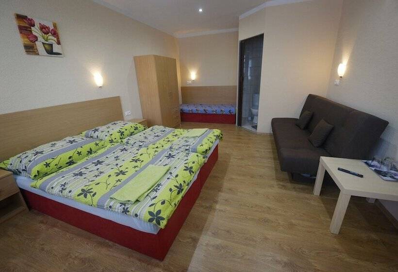 Номер Стандарт Индивидуальный, Wellness Penzion Maxim