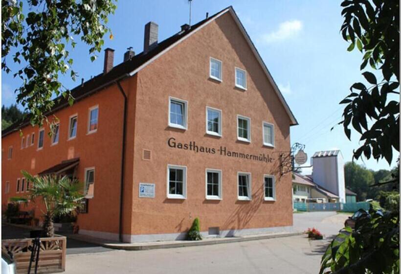 Номер Стандарт Индивидуальный, Landgasthof Hotel Hammermühle