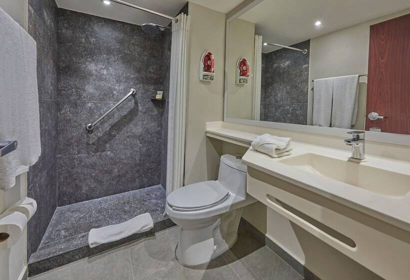 חדר סטנדרט שתי מיטות זוגיות, City Express By Marriott Playa Del Carmen