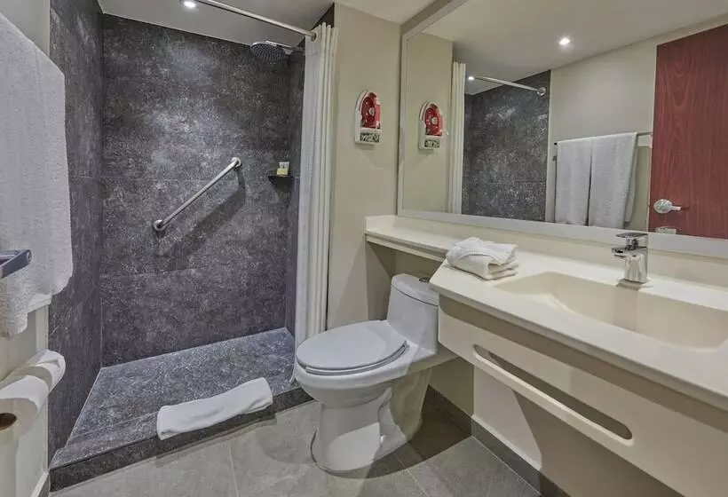 ２ダブルベッドのスタンダードルーム, City Express By Marriott Playa Del Carmen