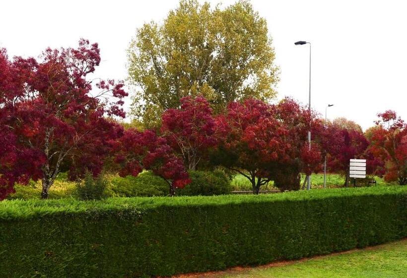 Люкс Вид на Сад, Contact Hôtel Le Provençal Bordeaux Lac