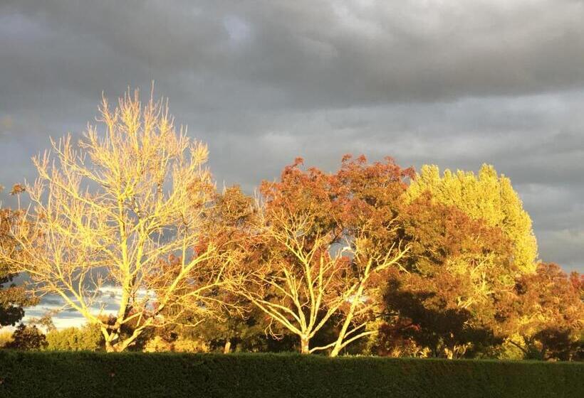 Люкс Вид на Сад, Contact Hôtel Le Provençal Bordeaux Lac