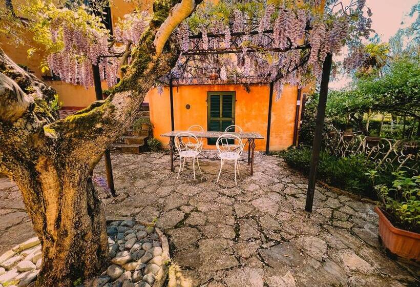 جناح, I Capricci Di Merion  Resort & Spa