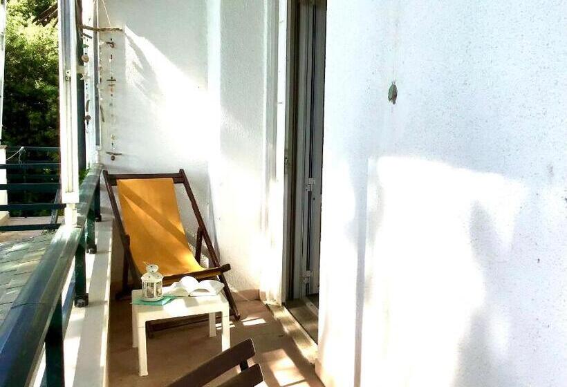 סטודיו סטנדרט עם מרפסת, La Coccinella