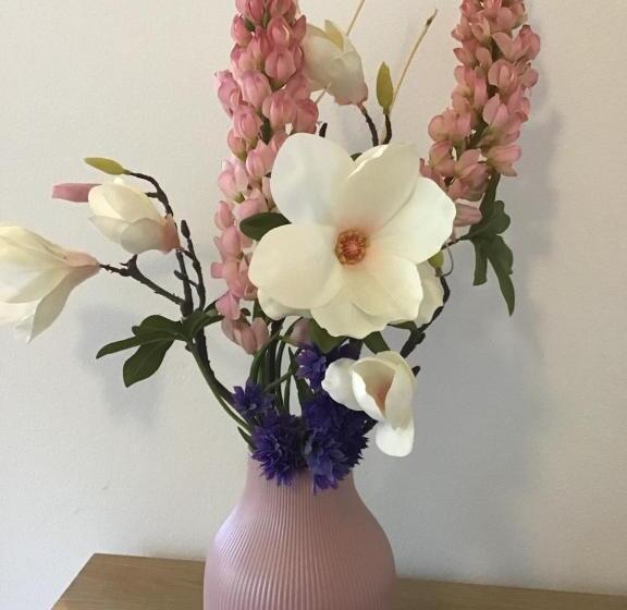 דירת חדר דלוקס, La Coccinella