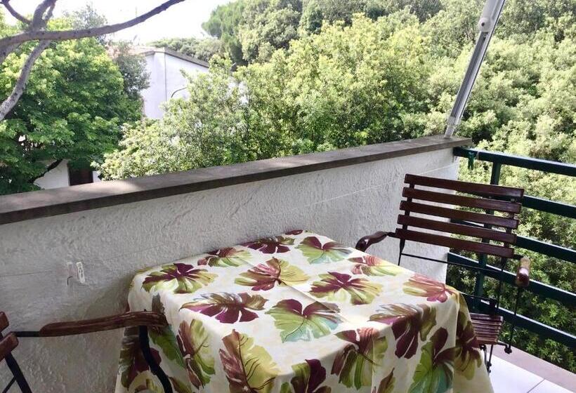 דירת דלוקס 2 חדרי שינה, La Coccinella