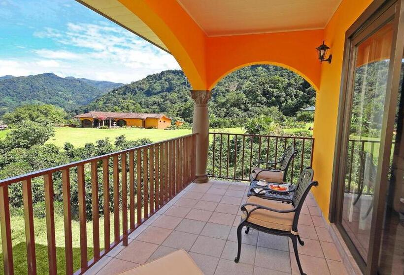 Люкс Superior, Los Establos Boutique Resort All Inclusive