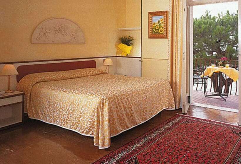 Superior room with lake view, Marconi