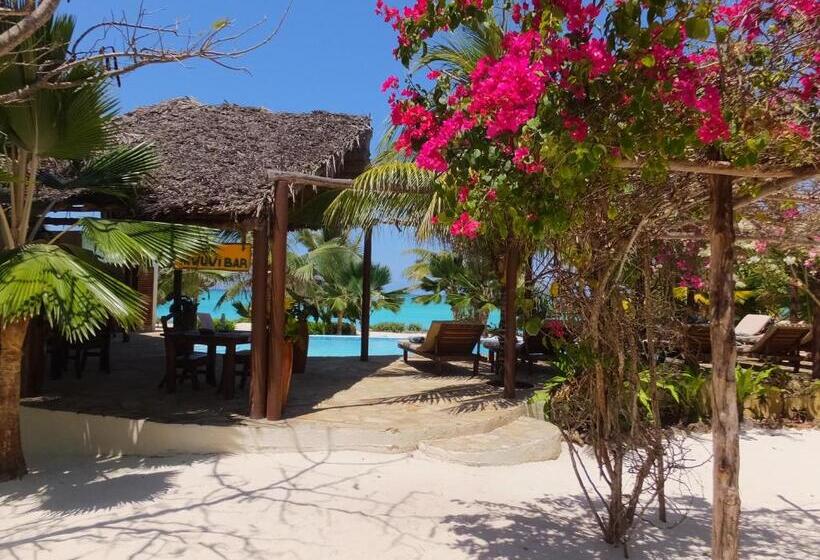 ガーデンビュースタンダードルーム, The Zanzibari