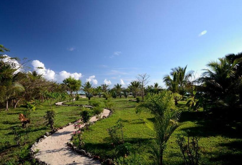 スイート（家族用）, The Zanzibari