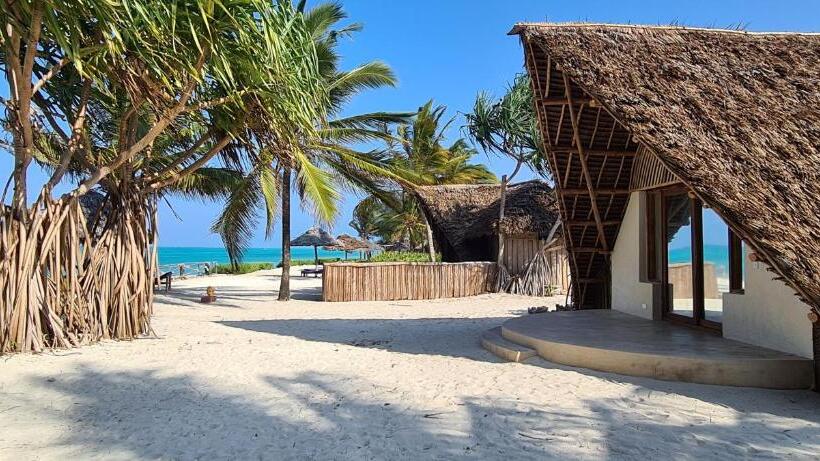 デラックスバンガロー, The Zanzibari