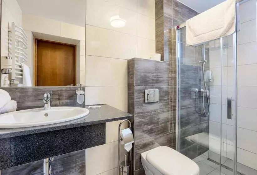 Standard Yhden Hengen Huone, Weneda