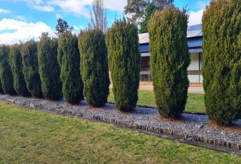 クラシックスタジオ, Zig Zag Motel & Apartments