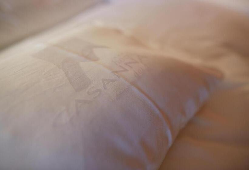 シングルデラックスルーム, Casanna Hotel Davos City Center