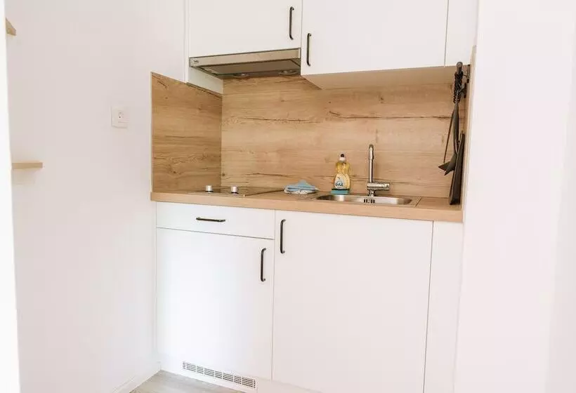 استودیو ساده, Apartmaji Triglav