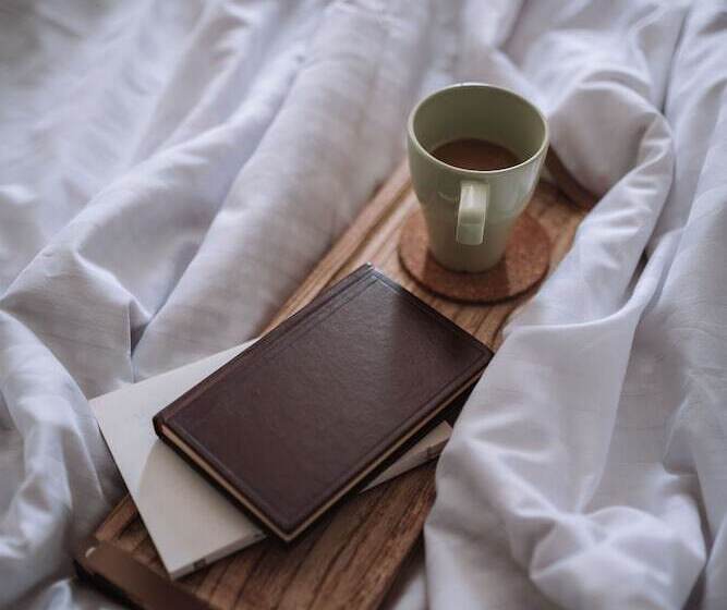 استودیو ساده, Apartmaji Triglav