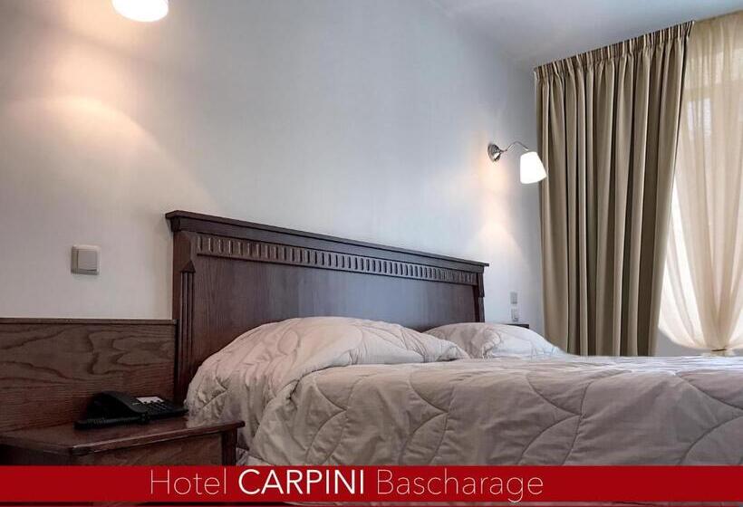 اتاق استاندارد, Carpini