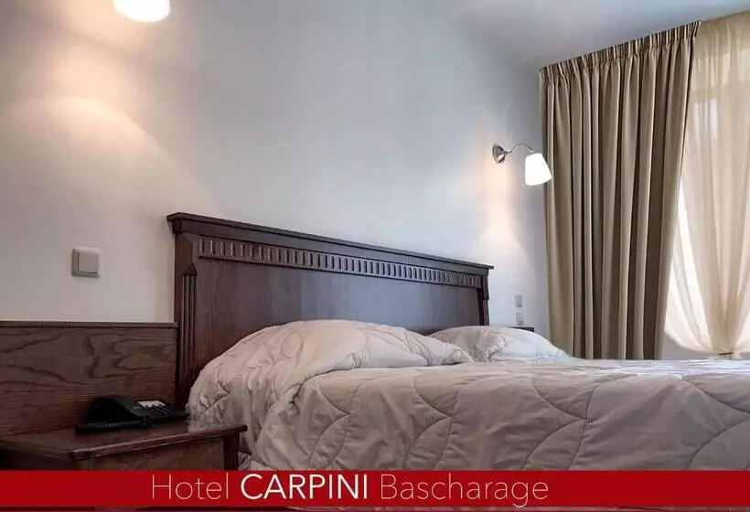 اتاق استاندارد, Carpini
