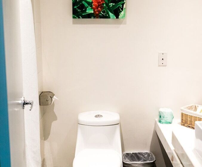 اتاق استاندارد, Century