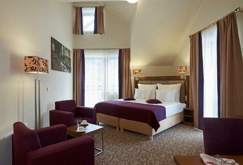 اتاق سوپریور, Mercure Krynica Zdrój Resort&spa