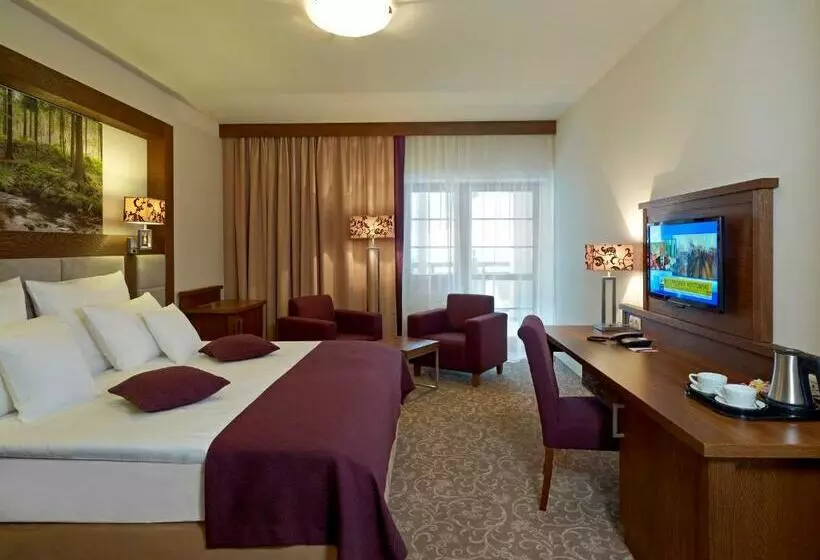 اتاق سوپریور, Mercure Krynica Zdrój Resort&spa