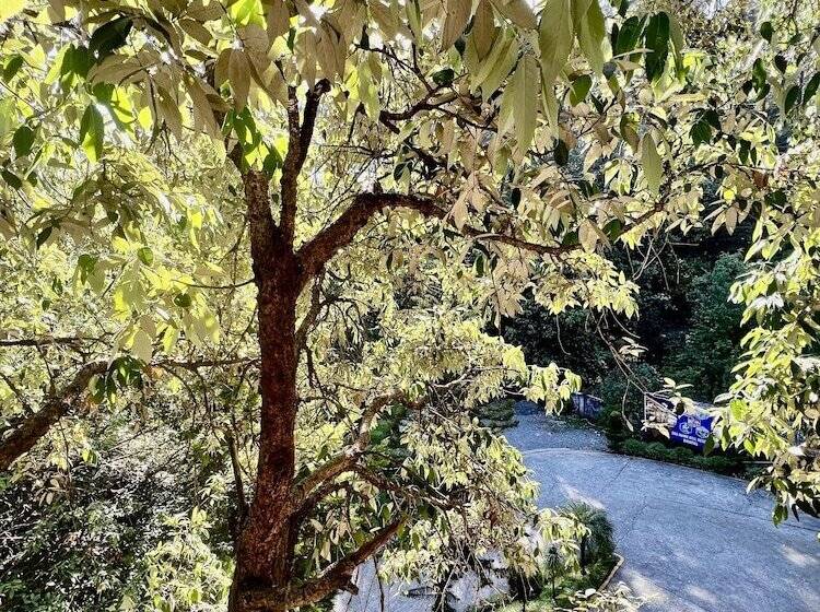 デラックスルーム, Sea Hawk Hill Resort A Luxury Boutique Resort, 20 Km From Nainital