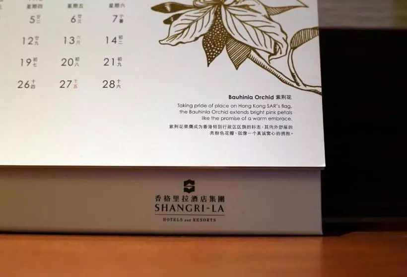 シティビューのデラックスルーム, Shangrila Manzhouli