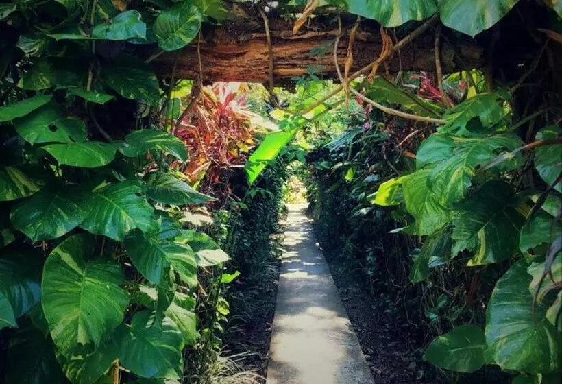 スタンダードルーム, La Palapa Eco Lodge Resort