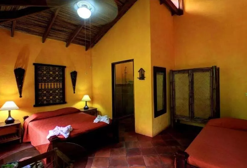 スタンダードルーム, La Palapa Eco Lodge Resort
