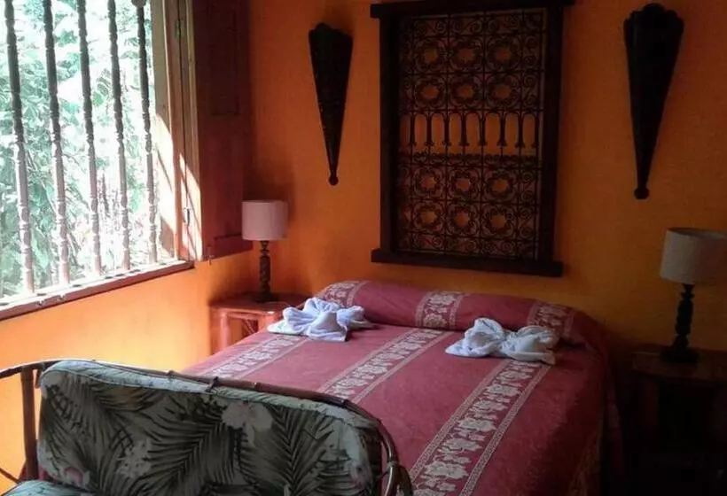 ジュニアスイート, La Palapa Eco Lodge Resort