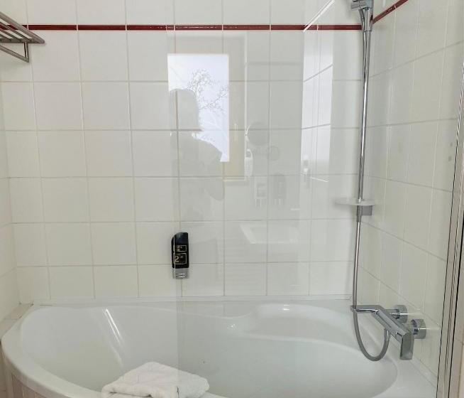豪华房间, Riverside Hotel Plzeň